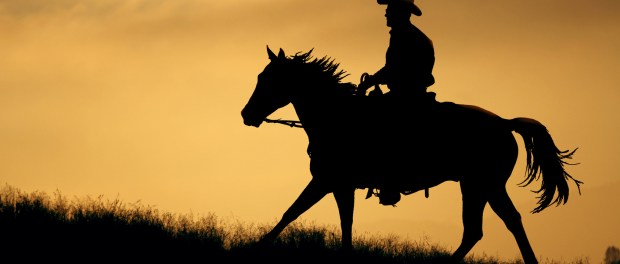 LA LEYENDA DEL LLANERO SOLITARIO