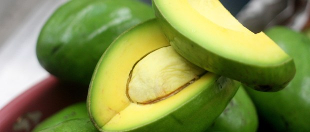 PRODUCTOS DE LA CANASTA BÁSICA CON MAYOR ALZA